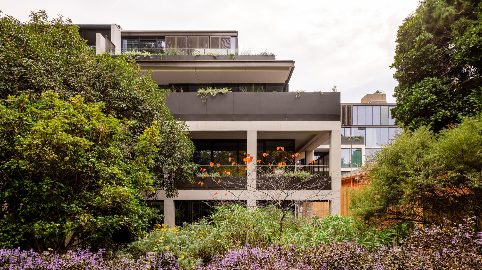 Arbour Park, Surrey Hills, Facade Detail