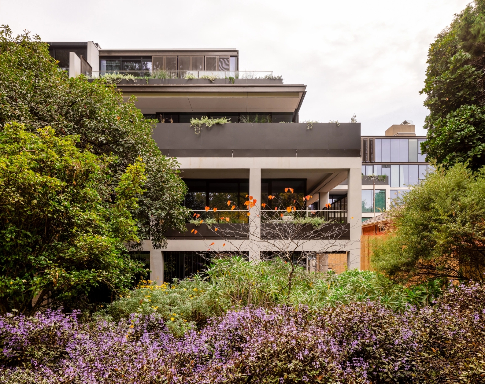 Arbour Park Surrey Hills - Facade Photography